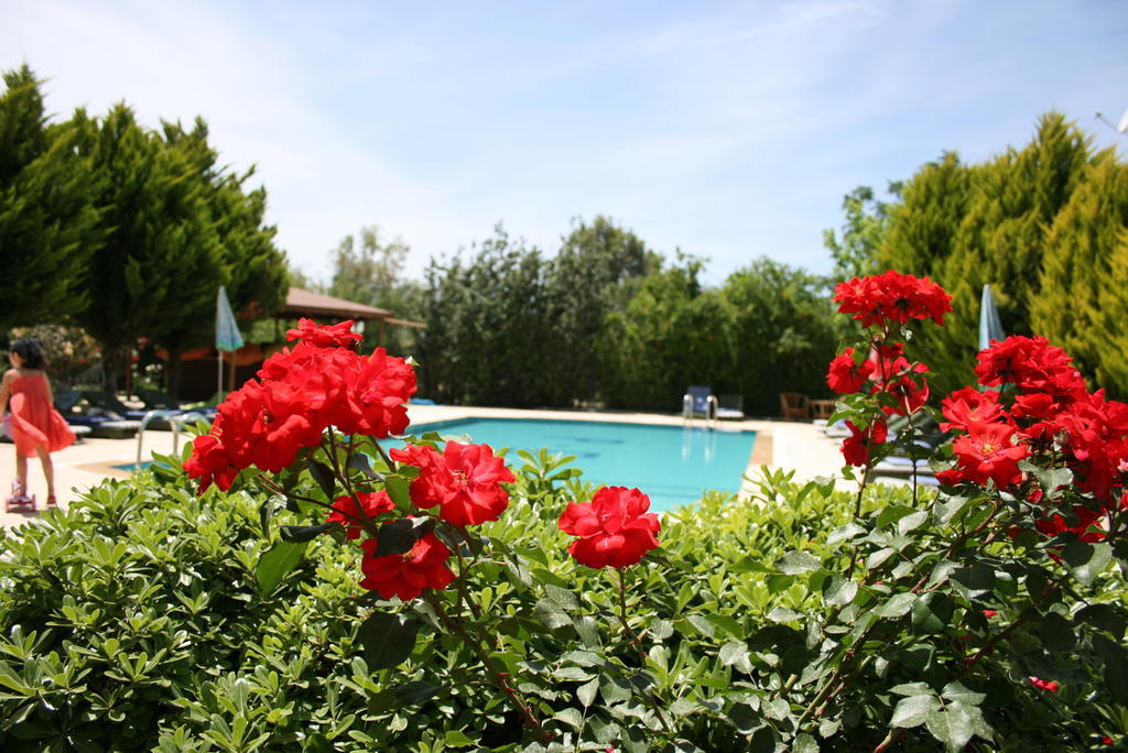 אפרטהוטל Paradise Garden Gumusluk Evleri מראה חיצוני תמונה