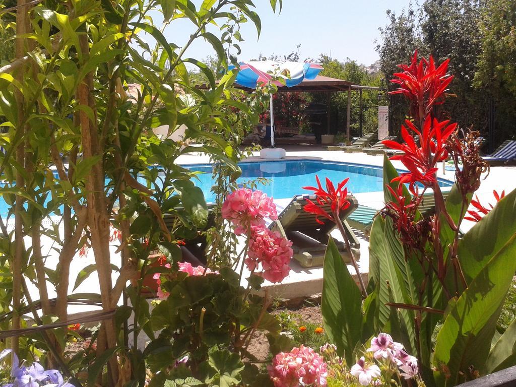 אפרטהוטל Paradise Garden Gumusluk Evleri מראה חיצוני תמונה