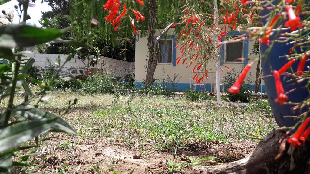אפרטהוטל Paradise Garden Gumusluk Evleri מראה חיצוני תמונה