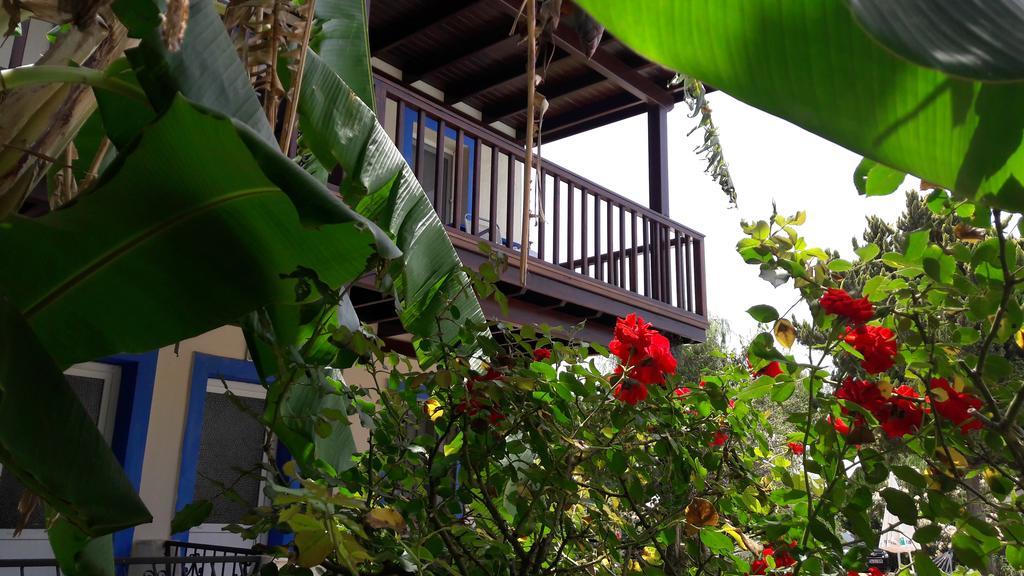 אפרטהוטל Paradise Garden Gumusluk Evleri מראה חיצוני תמונה